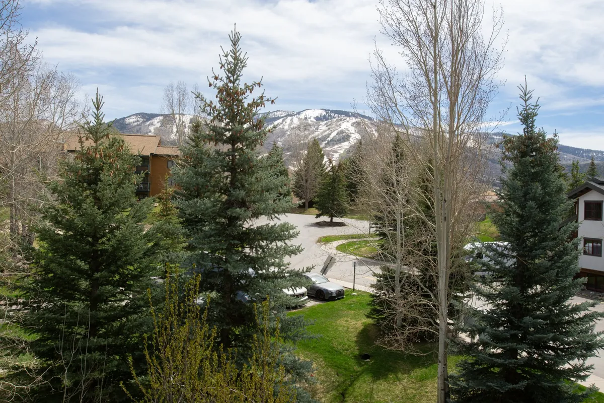 A serene winter exterior featuring snow-capped mountains in the background, tall evergreen trees, and a neatly maintained driveway. The scene embodies the mountain environment with clear views of the snowy landscape and tranquil natural surroundings.