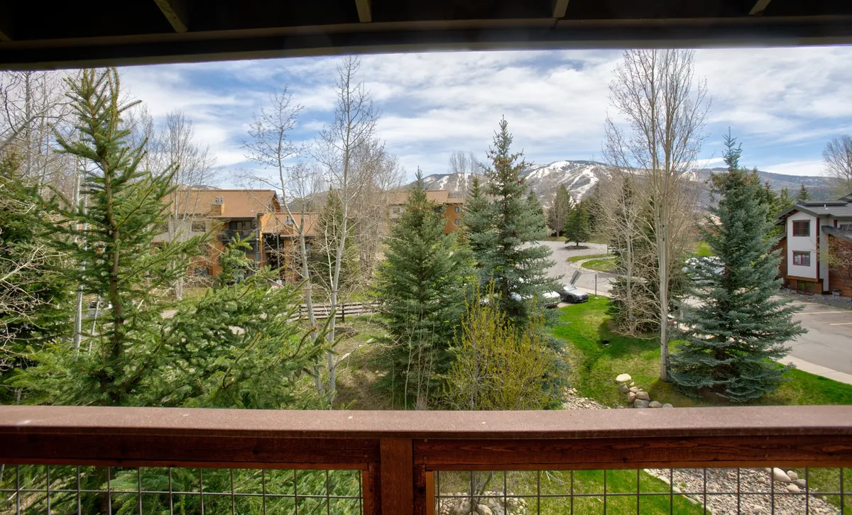 A peaceful view of a mountain range framed by tall trees, along with a roadway and nearby buildings, suggesting close proximity to ski slopes and easy transportation. The image conveys both accessibility and immersion in Steamboat's natural beauty.
